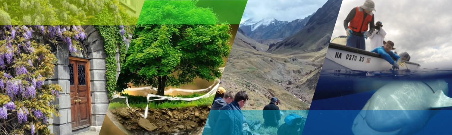 school banner image - composite of botany door, tree growing in soil, student siting looking out a mountains on fieldtrip and shark in water swimming under small boat with researchers looking overboard