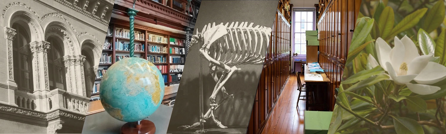 composite image banner - museum building decorative arch window from outside, Library books and globe, animal skeleton on display, herbarium cabinets, white flower tropical plant,