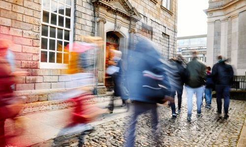 undergraduate life cycle