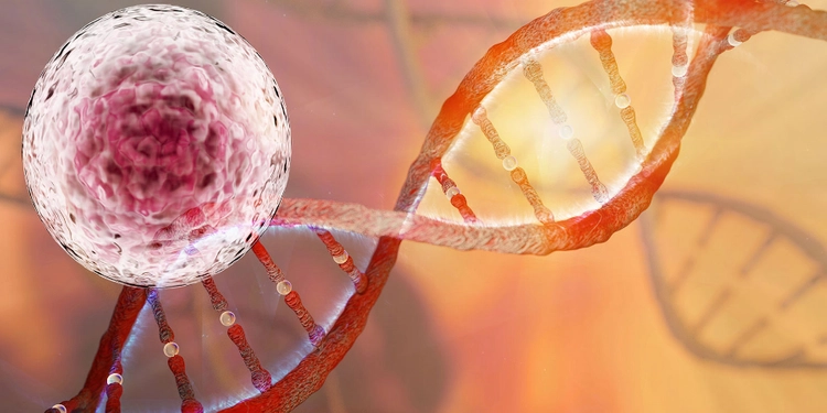 Colorful illustration of DNA and immunology.