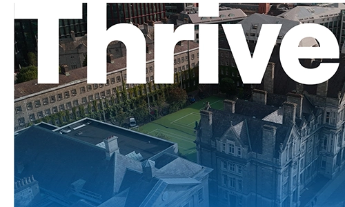 Banner for Thrive Strategey 2025-2030