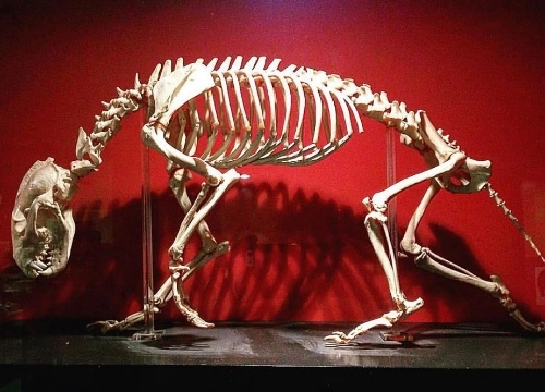 Researchers observing a shark.