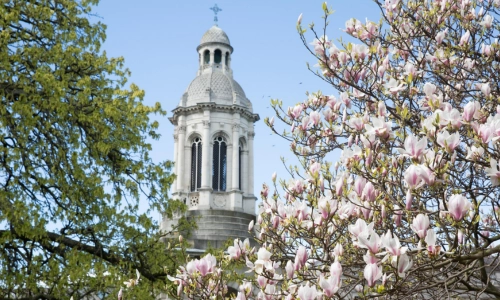 The Trinity Campanile (bell tower) in Spring.